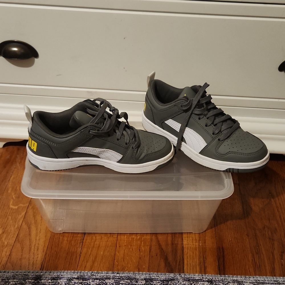 Grey and White Puma